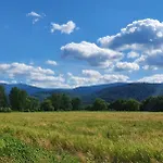 Wita Stwosza