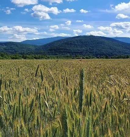 Wita Stwosza 公寓 耶莱尼亚古拉