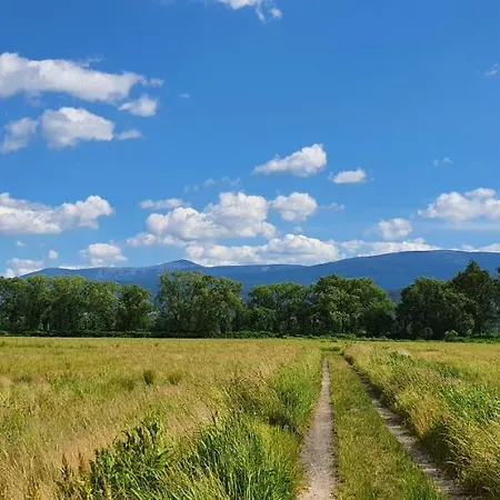 Wita Stwosza 公寓 *