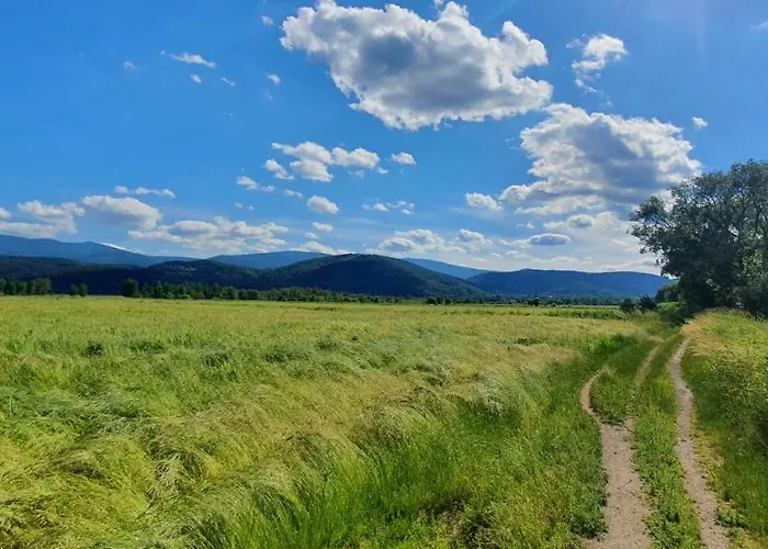 Apartment Wita Stwosza