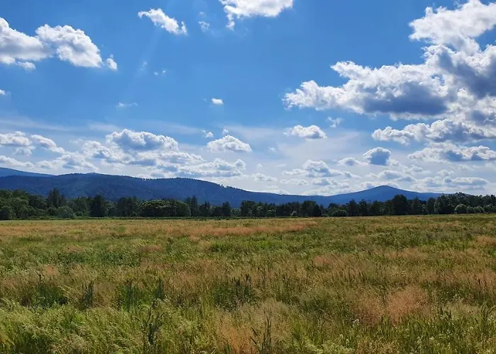 Wita Stwosza Apartment