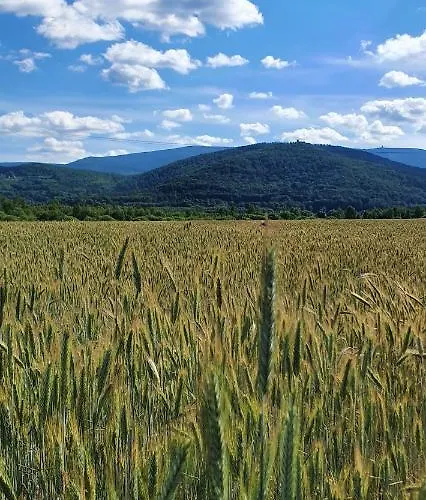 Wita Stwosza Apartment Jelenia Gora