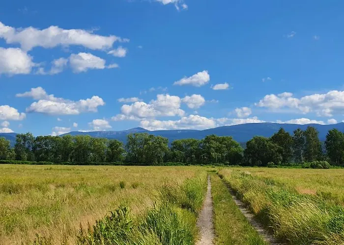 Wita Stwosza Apartment *