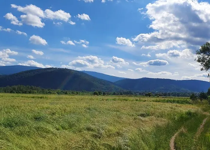 Apartment Wita Stwosza